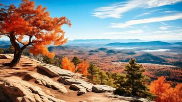 ai généré étourdissant panoramique vue de une vibrant automnal forêt de une haute avantage point avec espace pour texte photo