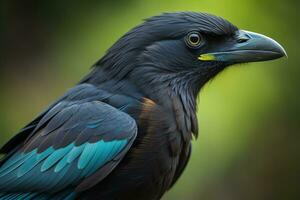 ai généré portrait de une à ailes bleues à ailes noires corbeau. génératif ai photo