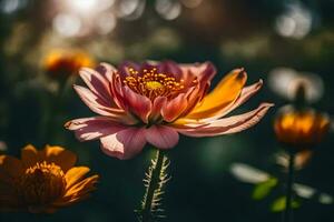 ai généré une fleur dans le Soleil photo