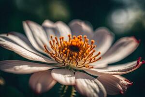 ai généré une proche en haut de une blanc fleur photo