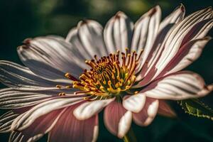 ai généré une proche en haut de une fleur avec une Jaune centre photo