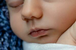 nouveau née - bébé, visage fermer. le en train de dormir nouveau née garçon en dessous de une blanc tricoté couverture mensonges sur le bleu fourrure. photo