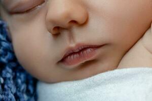 nouveau née - bébé, visage fermer. le en train de dormir nouveau née garçon en dessous de une blanc tricoté couverture mensonges sur le bleu fourrure. photo