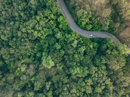 aérien Haut vue de voiture conduite sur Autoroute route dans le forêt. vert des arbres et Matin brouillard. vert des arbres Contexte pour carbone neutralité et net zéro les émissions concept. durable vert environnement. photo