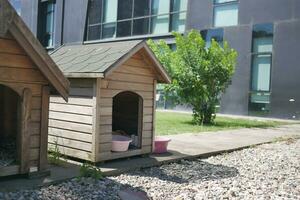 côté vue de deux vide en bois chat Maisons. photo