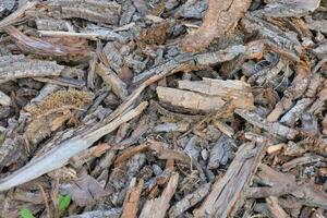 une proche en haut de une pile de bois frites photo