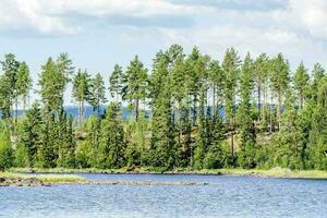 une Lac entouré par des arbres photo