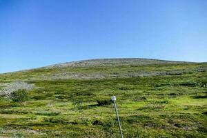 une herbeux colline contre une bleu ciel photo