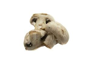 entier champignons , isolé sur blanc Contexte. scientifique Nom est agaricus bispore. il est le plus communément utilisé comestible champignon espèce pour cuisine photo