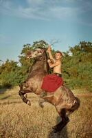 Beau homme cow-boy équitation sur une cheval - Contexte de ciel et des arbres photo