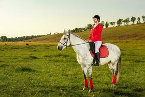 Jeune femme cavalier, portant rouge redingote et blanc culotte, avec sa cheval dans soir le coucher du soleil lumière. photo