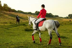 Jeune femme cavalier, portant rouge redingote et blanc culotte, avec sa cheval dans soir le coucher du soleil lumière. photo