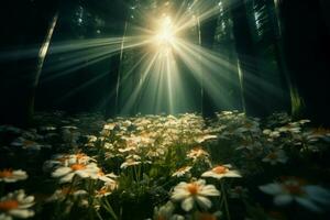 ai généré canopée la magie rayons de soleil Pause à travers, moulage lumière sur épanouissement fleurs sauvages photo