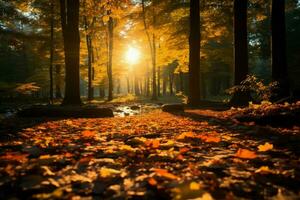 ai généré lumière du soleil perce par l'automne feuilles, moulage une serein forêt lueur photo