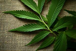 ai généré chanvre esthétique cannabis feuilles sur une texturé chanvre textile Contexte photo