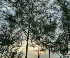 le coucher du soleil vue dans mer plage photo