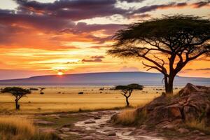ai généré le coucher du soleil dans serengeti nationale parc, Tanzanie, Afrique, africain savane scène avec acacia des arbres pendant le coucher du soleil dans serengeti nationale parc, Tanzanie, ai généré photo