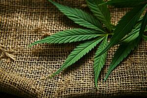 ai généré Naturel fibre cannabis feuilles contre une Contexte de chanvre en tissu photo