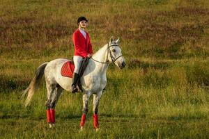 le cavalière sur une rouge cheval. cheval équitation. cheval courses. cavalier sur une cheval. photo