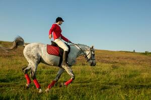 le cavalière sur une rouge cheval. cheval équitation. cheval courses. cavalier sur une cheval. photo