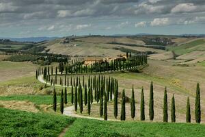 célèbre toscane paysage avec incurvé route et cyprès, Italie, L'Europe . rural cultiver, cyprès des arbres, vert champ, lumière du soleil et nuage. photo