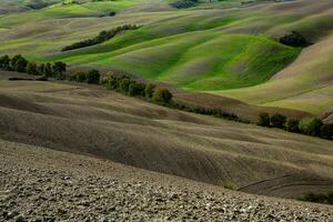 récolté des champs et prés paysage dans toscane, Italie. ondulé pays paysage à l'automne le coucher du soleil. arable terre prêt pour le agricole saison. photo