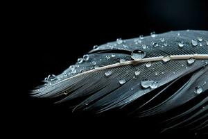 ai généré magnifique Couleur plume avec l'eau gouttes sur il isolé sur noir arrière-plan, magnifique plume avec l'eau gouttes sur une noir arrière-plan, fermer, ai généré photo