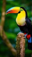 ai généré une étonnamment magnifique toucan perchoirs sur une branche photo