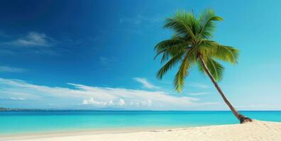 ai généré un image de une paume arbre sur une blanc sablonneux plage photo