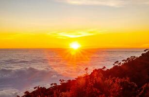 monter kinabalu avec lumière de lever du soleil sur Montagne. voyage voyage, randonnée dans kinabalu nationale parc. kota kinabalu - malasie. photo