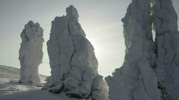 pierre piliers sur Contexte de hiver ensoleillé paysage. agrafe. congelé pierre piliers sur Contexte de brillant Soleil dans l'hiver. incroyable neige piliers de rochers sur Montagne sur ensoleillé hiver journée photo