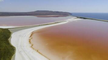 Haut vue de rose des lacs sur bleu mer Contexte. tir. brillant coloré des lacs de rose et Orange couleurs sont séparé par blanc côte de bleu mer. Naturel phénomène de rose des lacs photo