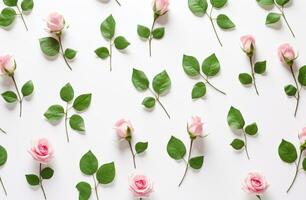 ai généré rose des roses et feuilles sur une blanc arrière-plan, photo