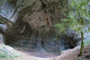 une grand la grotte avec une arbre dans le milieu photo