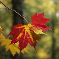 ai généré l'automne adieu fermer de une rouge érable feuille dans le forêt génératif par ai photo