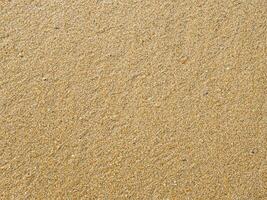 texture de sable. plage de sable pour le fond. vue de dessus photo