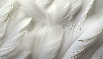 ai généré détaillé texture de blanc plumes haute résolution numérique art Contexte avec grand oiseau plumes photo