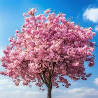 ai généré Cerise fleur arbre contre bleu ciel photo