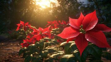 ai généré une poinsettia a brillant rouge fleurs dans le arrière-plan, photo