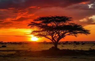 ai généré le lever du soleil, le coucher du soleil dans Kenya photo