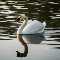 ai généré une portrait de une gracieux cygne glissement à travers photo