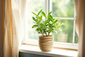 ai généré concept de Accueil jardinage. zamioculcas dans pot de fleur sur rebord de fenêtre. Accueil les plantes sur le rebord de fenêtre. vert Accueil les plantes dans une pot sur rebord de fenêtre à maison. génératif ai. photo