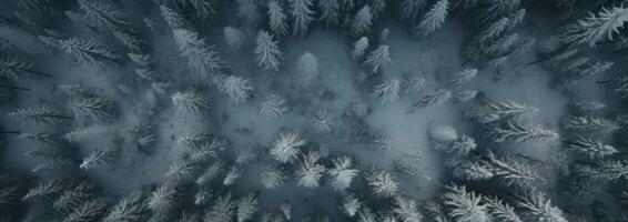 ai généré un aérien coup de neige couvert pin des arbres, photo