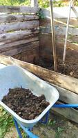 humus dans une brouette. compost de nettoyage dans le jardin. transporter le fumier dans un chariot de jardin jusqu'au tas de compost.
