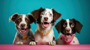 ai généré chiens dans anniversaire casquette sur vif Contexte photo