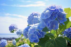 ai généré bleu français hortensia en dessous de bleu ciel. ai généré photo