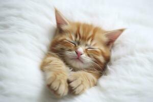 ai généré rouge chaton, chat en train de dormir mignonne sur blanc fourrure. génératif ai photo