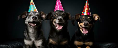 ai généré Trois chiens sont portant fête Chapeaux photo