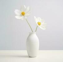 ai généré blanc cosmos fleur dans blanc vase cosmos photo