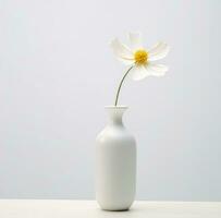 ai généré blanc cosmos fleur dans blanc vase cosmos photo